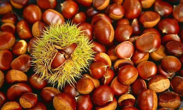 t0144b67eb79e4dfe08.jpg t0144b67eb79e4dfe08.jpg